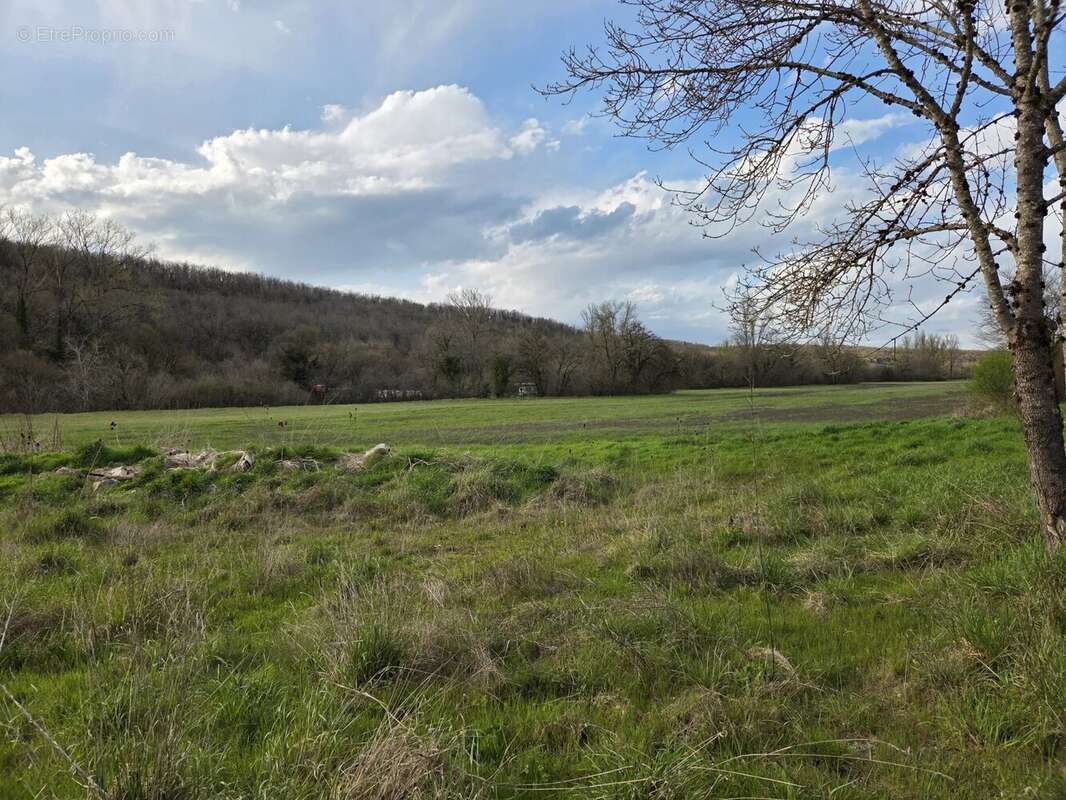 Maison à PUYLAROQUE