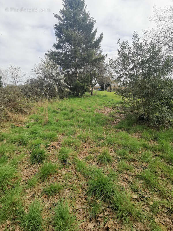 Maison à VILLEFRANCHE-D&#039;ALLIER