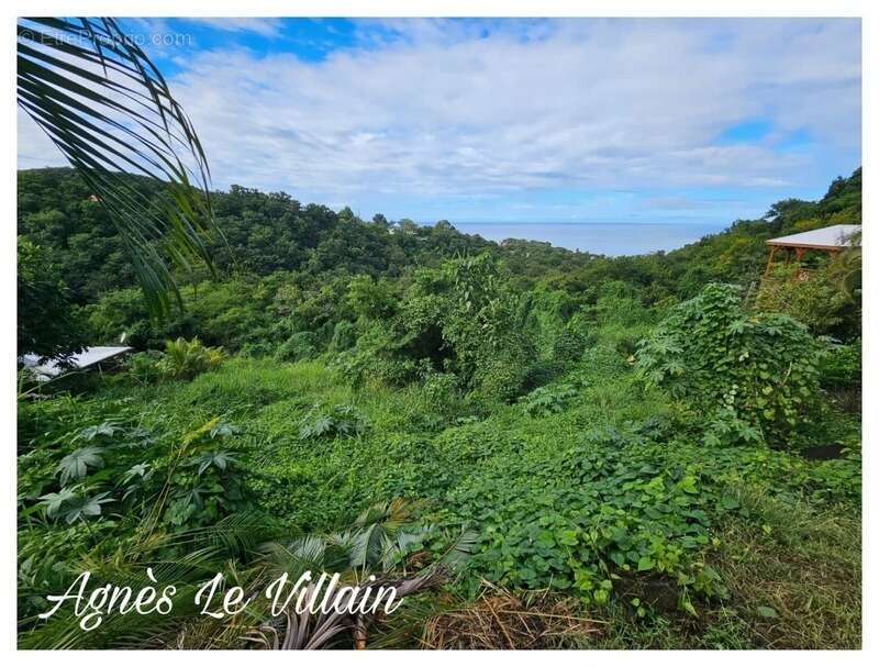 Terrain à BOUILLANTE