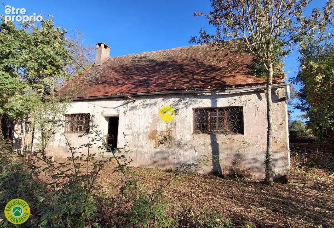 Maison avec grand jardin - photo 4