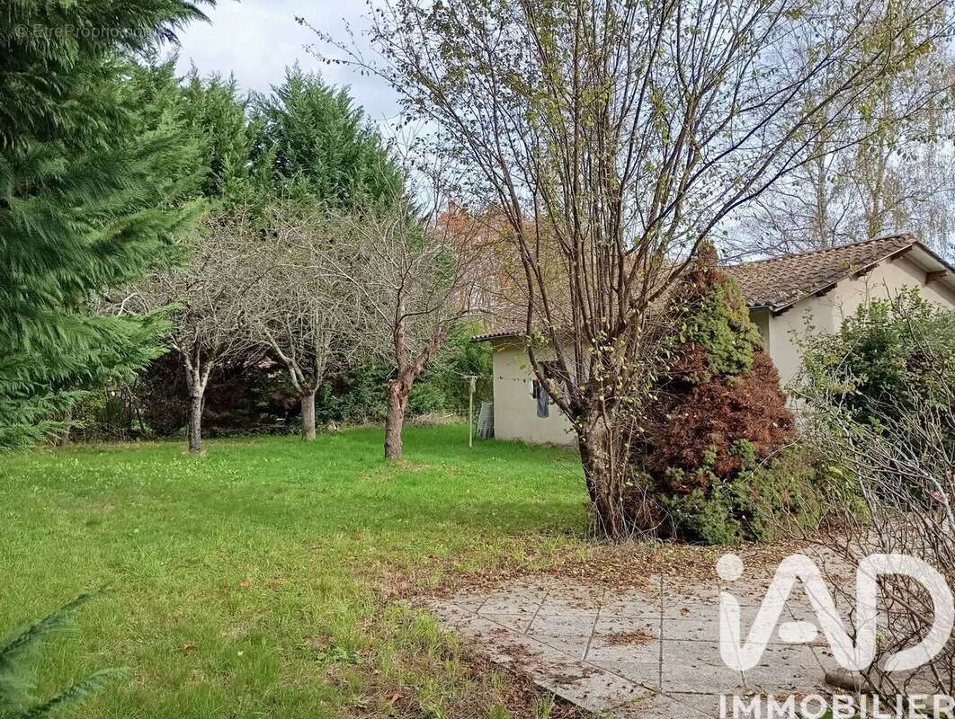 Photo 6 - Maison à MONTAURIOL