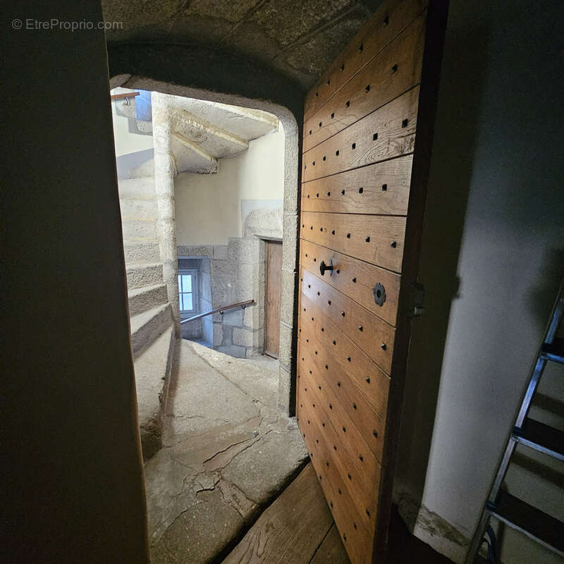 Magnifique hotel particulier - photo 4