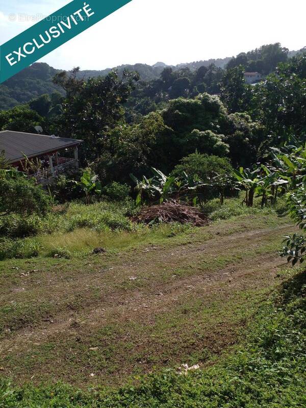 Photo 1 - Terrain à LE ROBERT