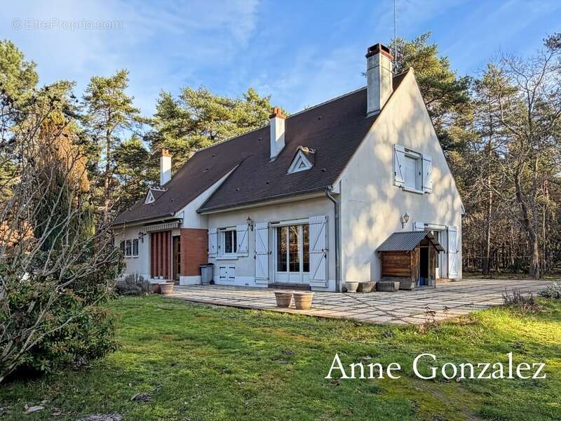 VIENNE EN VAL, à trente minutes d'ORLEANS aux portes de l'Orée de Sologne Propriété à vendre avec 24 hectares boisés et son étan - photo 3