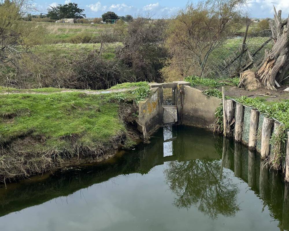 Terrain à L'ILE-D'OLONNE