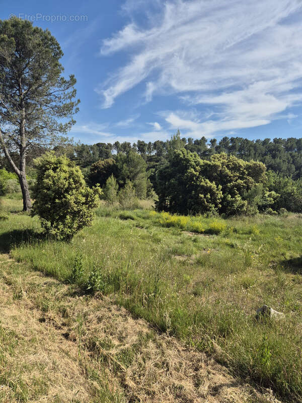 Terrain à LAMBESC