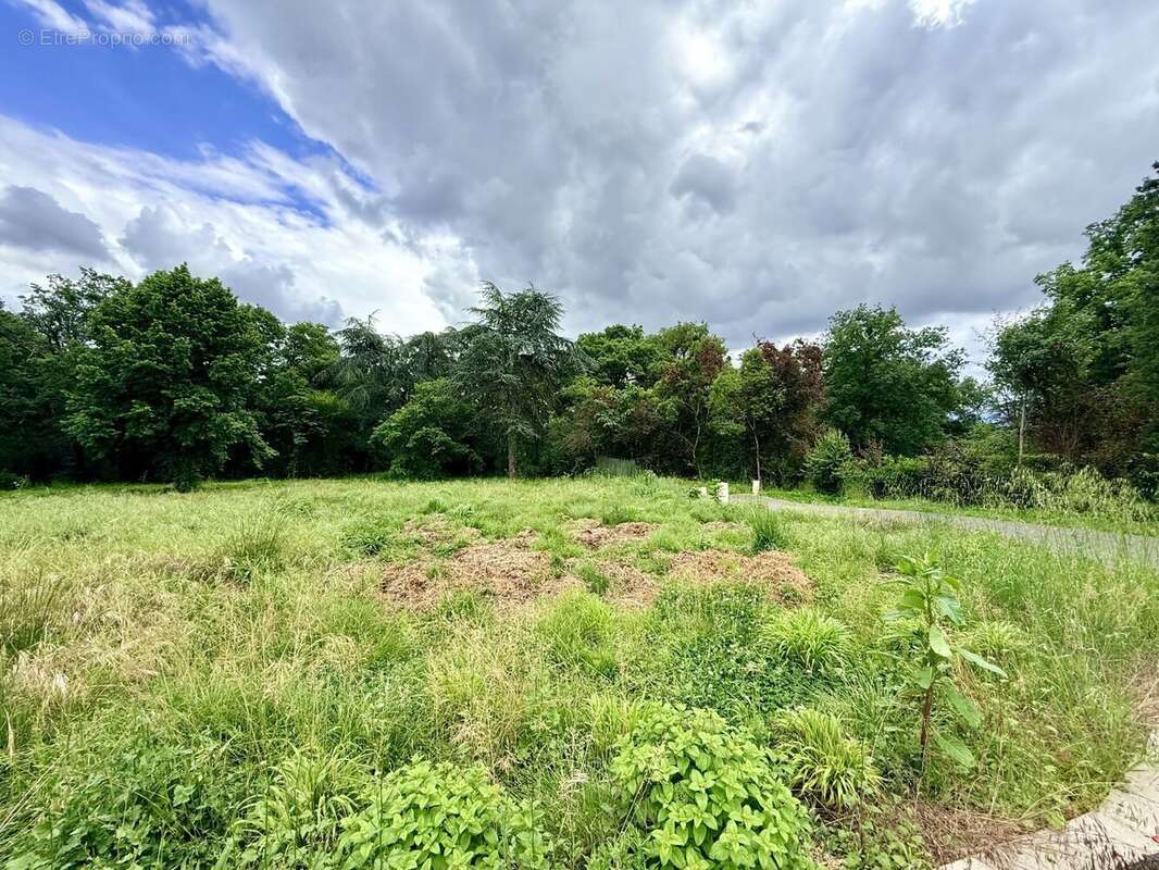 Terrain à bâtir de 751 m² à BALMA (31) - photo 2