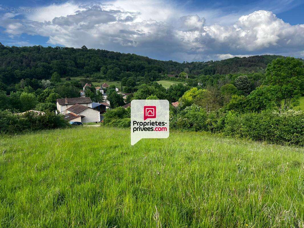Beau terrain constructible et arboré de 3350 m² situé proche du bourg de SAINT-PAUL-DE-SERRE (24380) - photo 4
