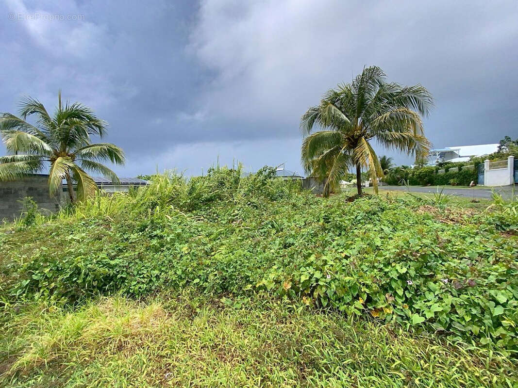 Terrain à CAPESTERRE-BELLE-EAU