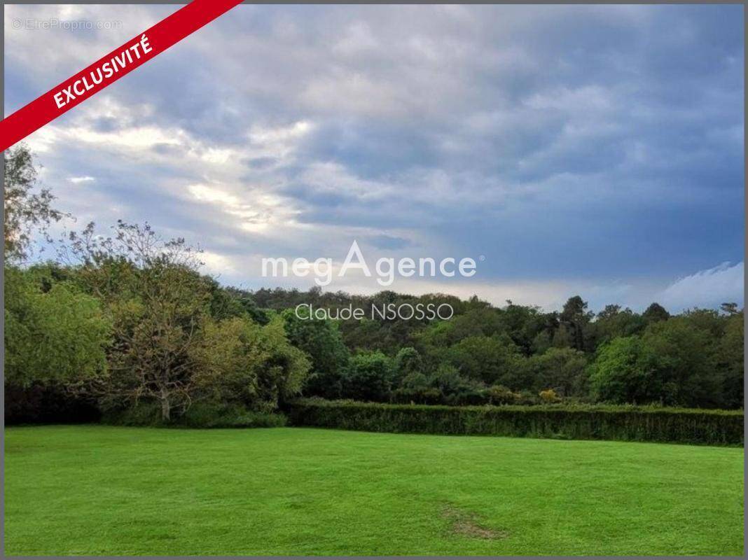 Terrain à SAINT-THURIAL