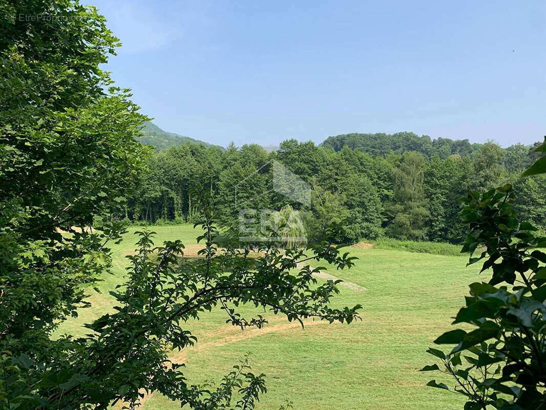 Maison à CHARAVINES