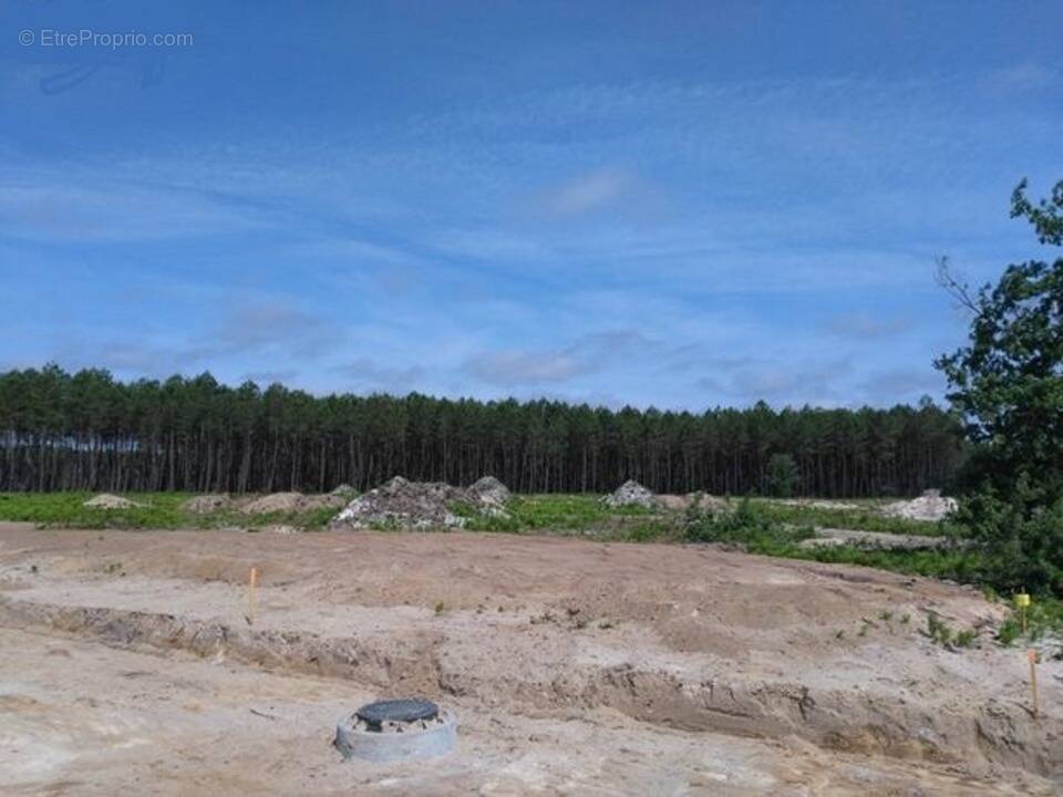 Terrain à LE TUZAN