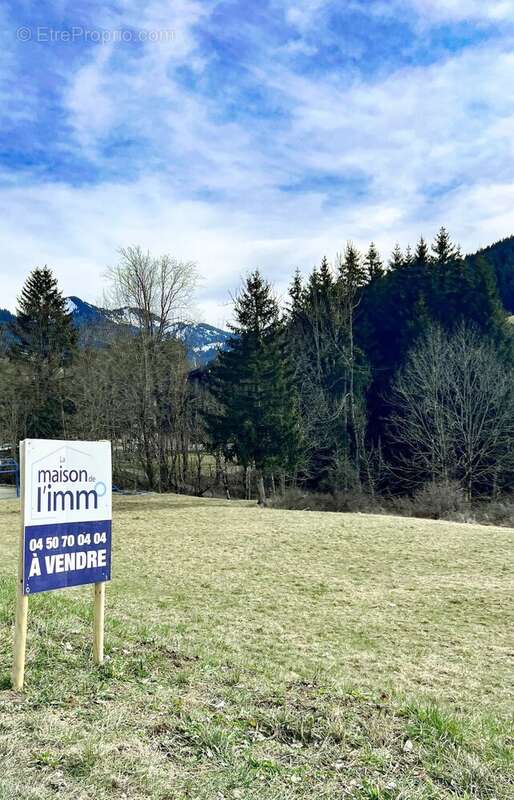 Terrain a vendre abondance - photo 2