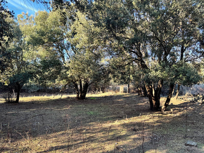 Maison à L'ILE-ROUSSE