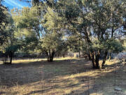 Maison à L&#039;ILE-ROUSSE