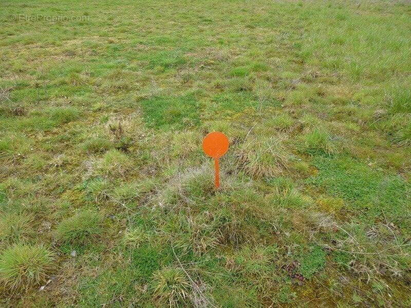 Terrain à DESCARTES