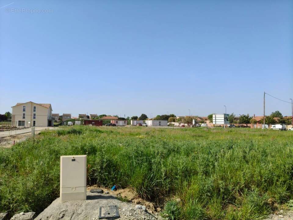 Terrain à FROUZINS