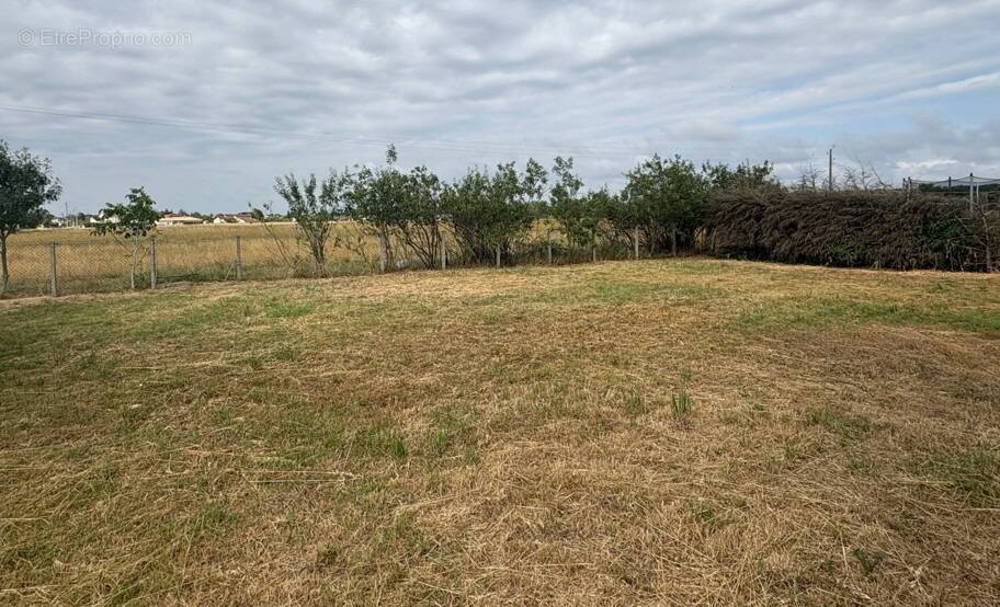 Terrain à PLAISANCE-DU-TOUCH