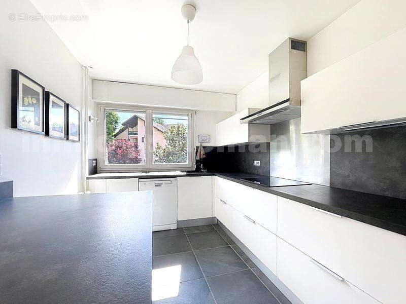 APPARTEMENT_T4_TRANSFORMEE_EN_T3_IMMO_PROLEMAN_COLLONGES_SOUS_SALEVE_BELLES_PRESTATIONS_RENOVEE_BEAUX_VOLUMES_PIED_DE_LA_DOUANE_Veyrier_geneve_TRAM_CEVA_frontiere_Suisse_rangement_pièce_de_vie_séjour_cuisine - Appartement à COLLONGES-SOUS-SALEVE
