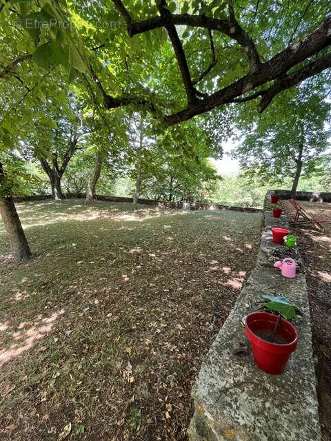 À vendre   Château de Rogues, un bien d'exception chargé d'histoire - photo 21