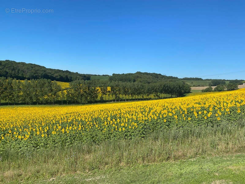 Maison à SALLES-LAVALETTE