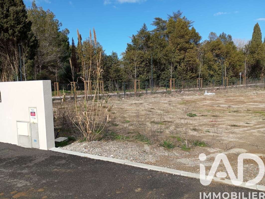 Photo 6 - Terrain à ELNE
