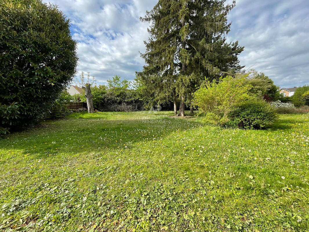 Terrain à SAINT-GERMAIN-EN-LAYE