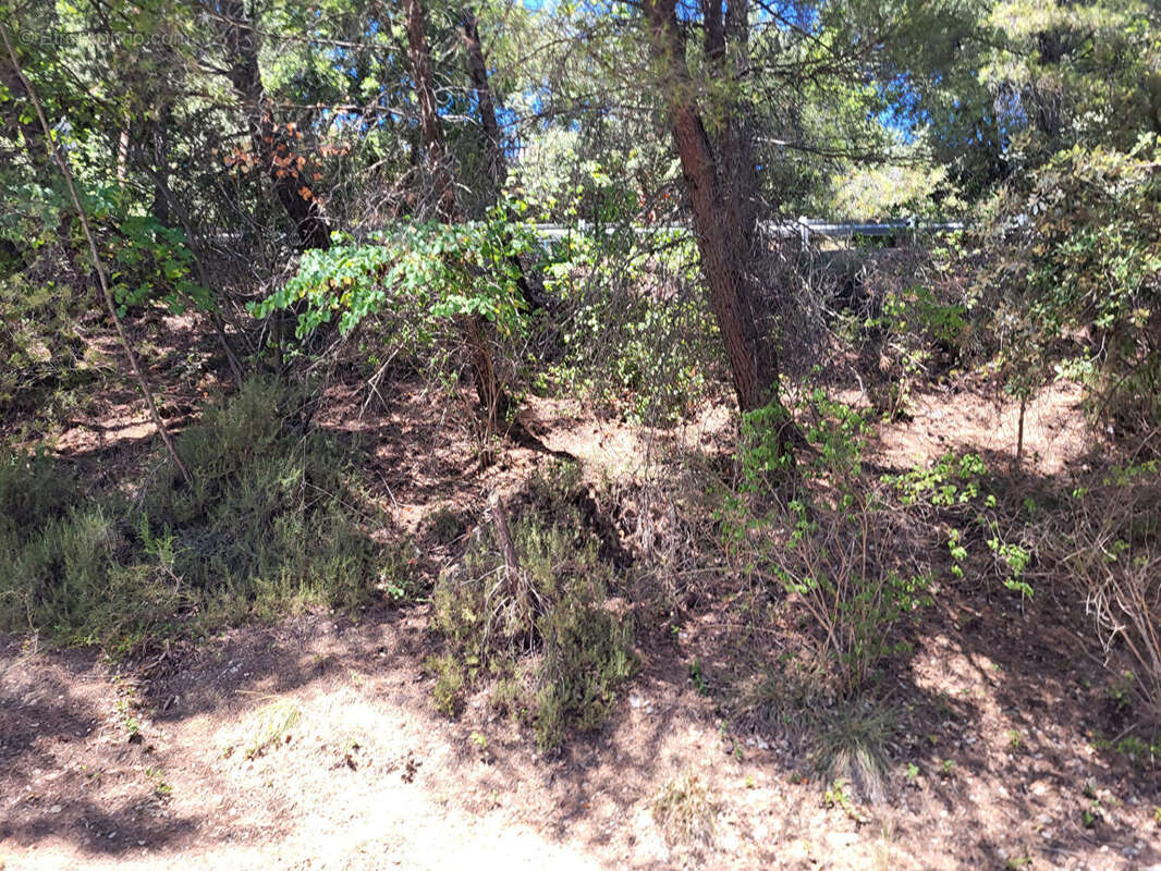 Terrain 1073m² à peyruis - photo 3