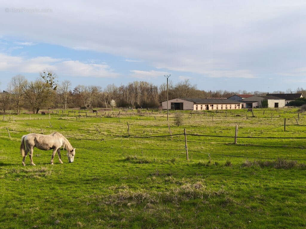 Maison à SAINT-MARTIN-SUR-OUANNE