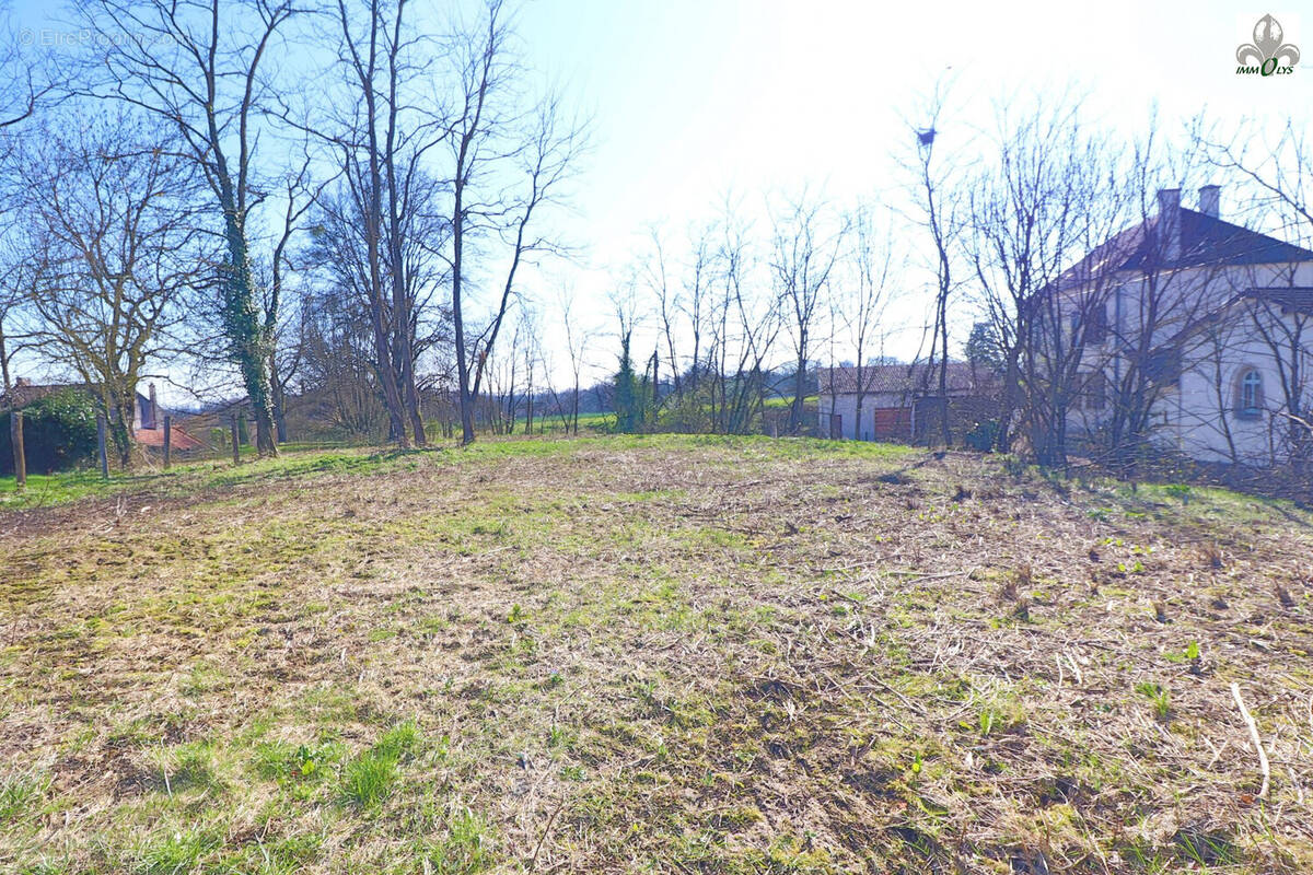 Terrain à AUVILLARS-SUR-SAONE