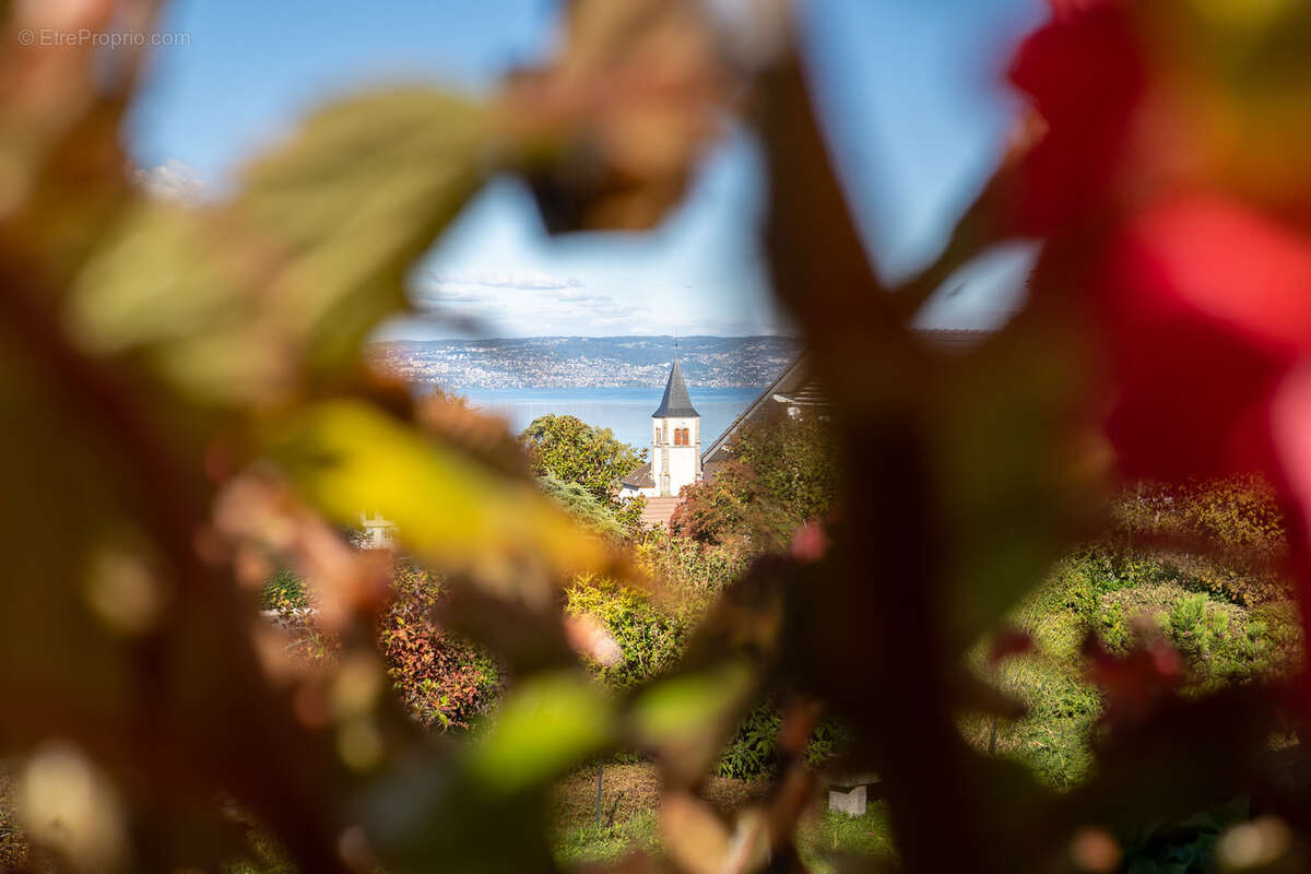 Maison à NEUVECELLE