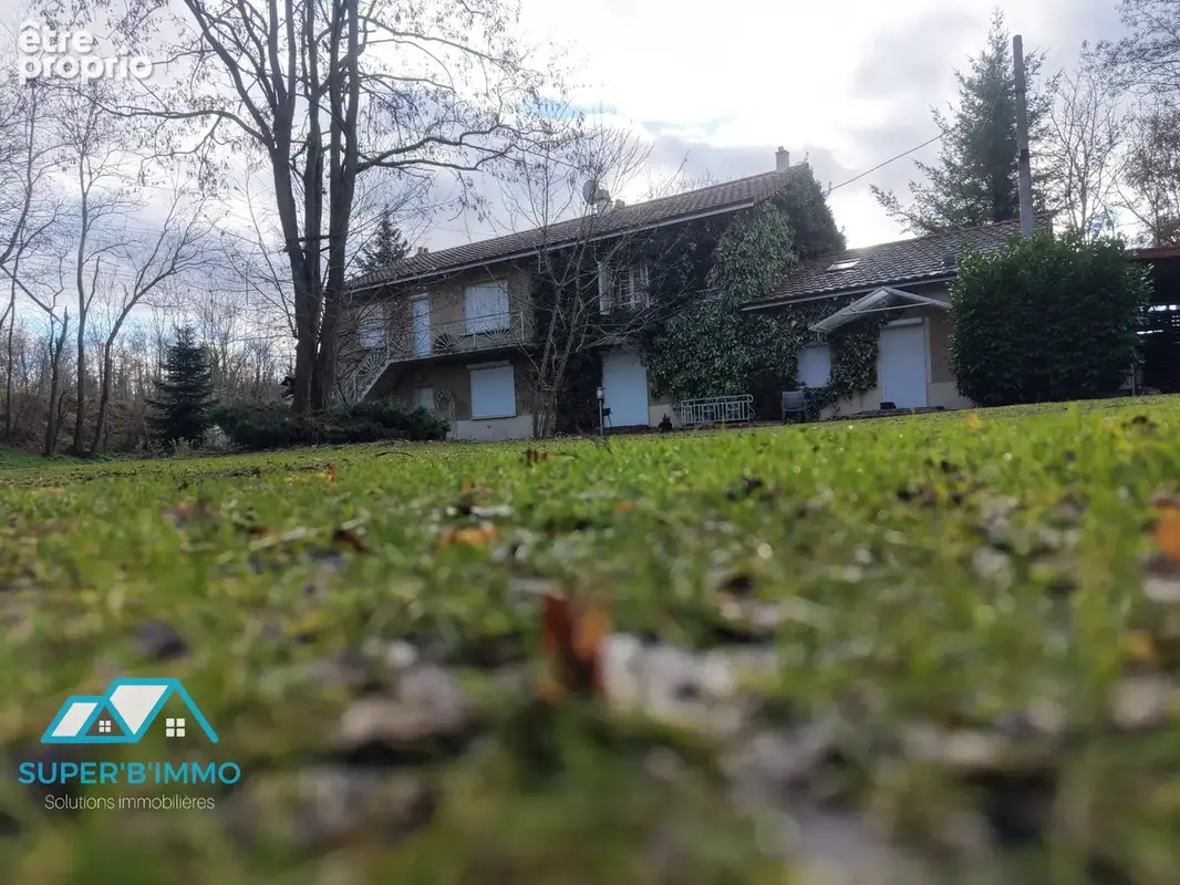 Maison 272m² - riviere - terrain - photo 3