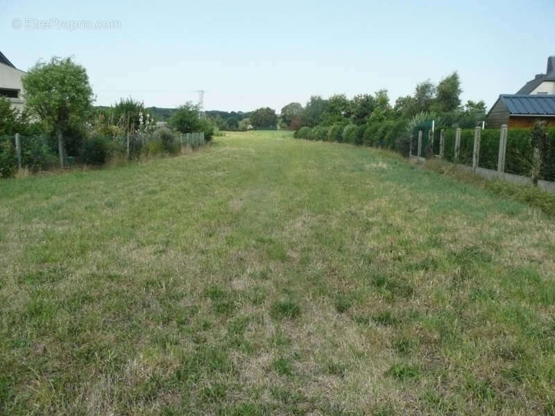 Terrain constructible ploufragan - 600 m2 - photo 2