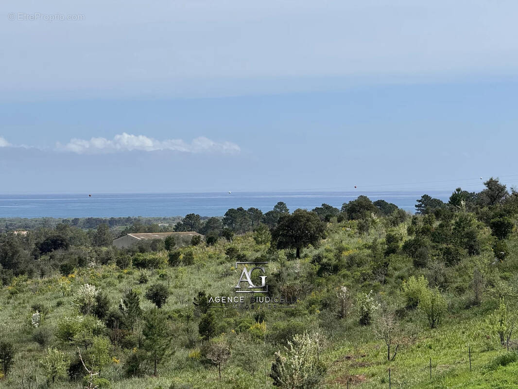 Terrain à SOLARO