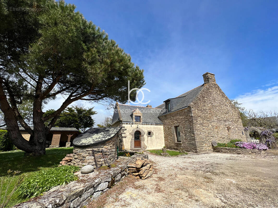Maison à DAMGAN