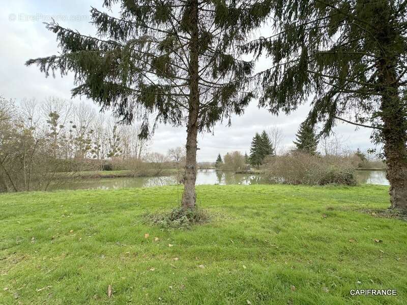 Terrain de loisir avec étangs proche de la Ferté-Bernard (72400) - photo 10