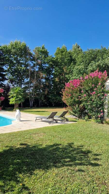 Photo 8 - Maison à SAINT-DENIS-EN-VAL