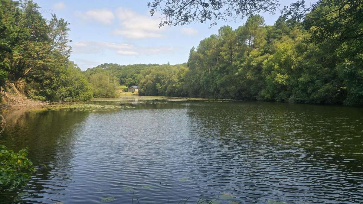 La tranquillité absolue avec un étang d'  un hectare et maison de plain-pied - photo 15