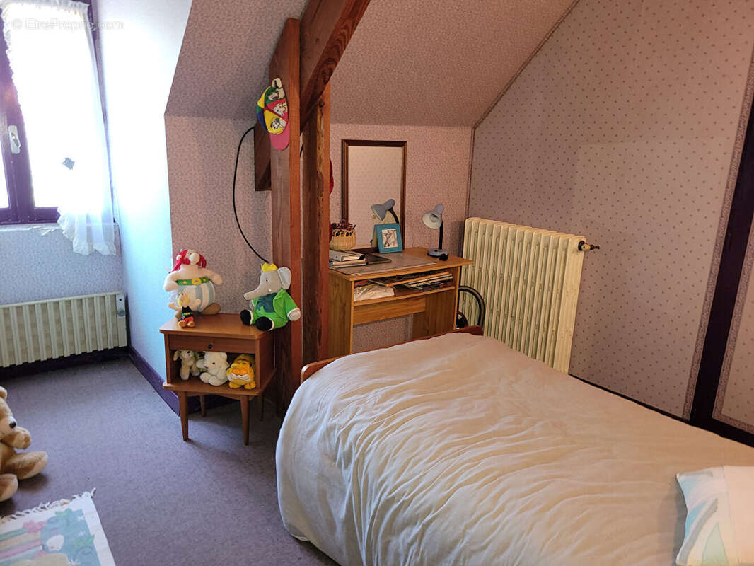 Grande maison familialle  avec dépendances et 2ha du terrain. - photo 12