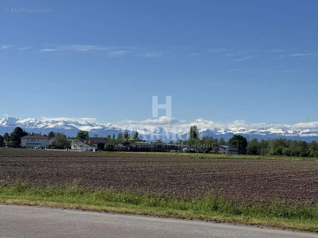 Commerce à SERRES-CASTET
