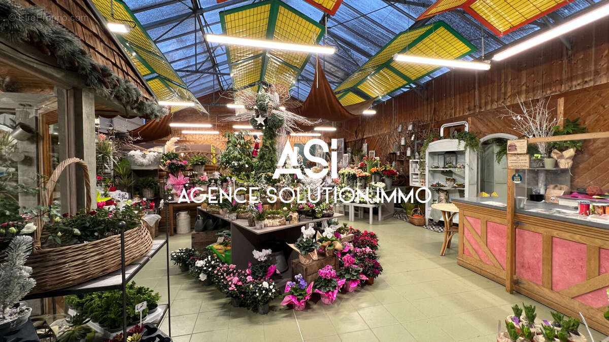 Terrain à LA FERTE-MACE