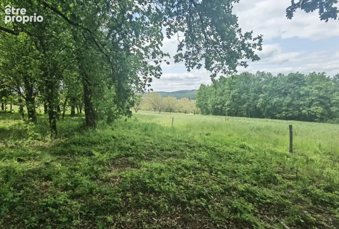Vue nord