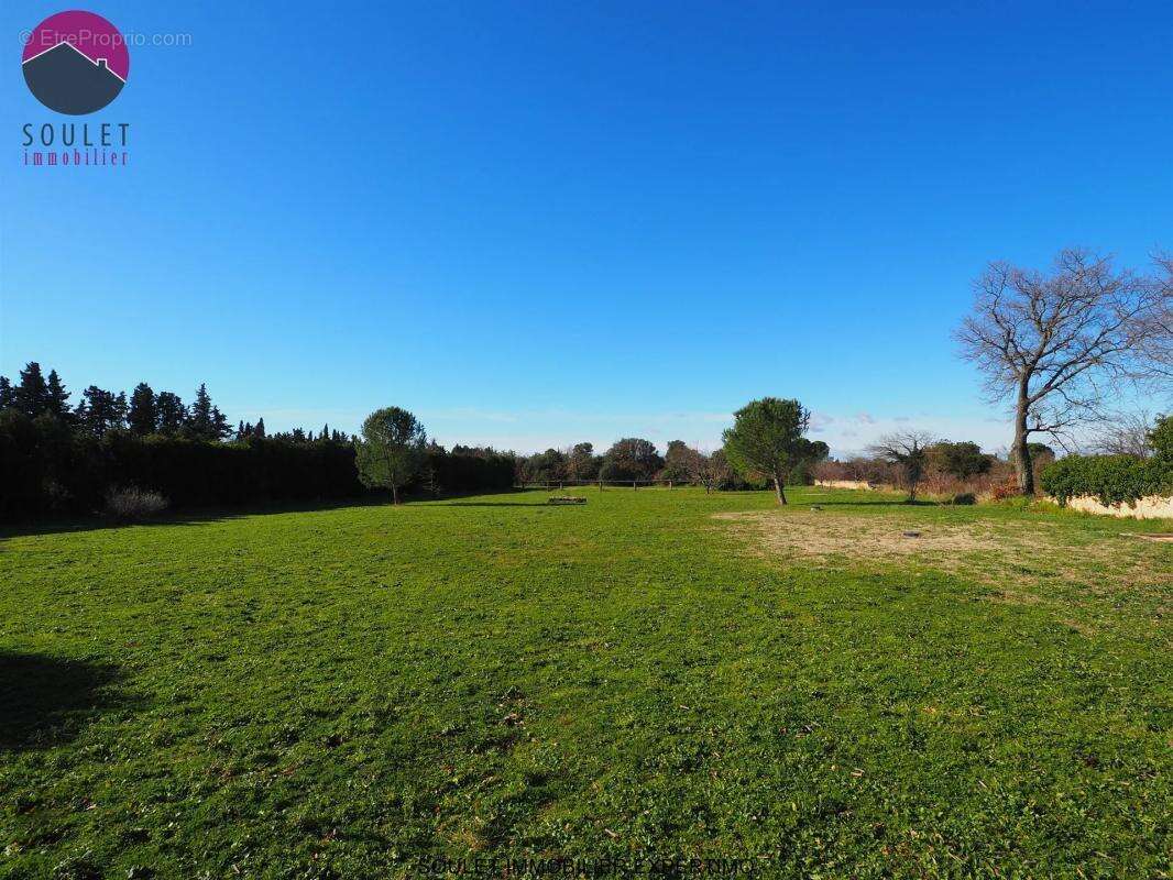 Maison à PERNES-LES-FONTAINES