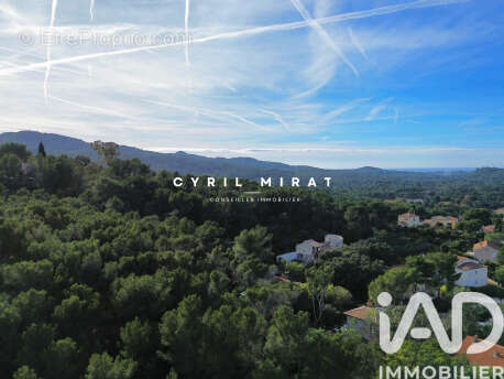 Photo 3 - Terrain à SIX-FOURS-LES-PLAGES