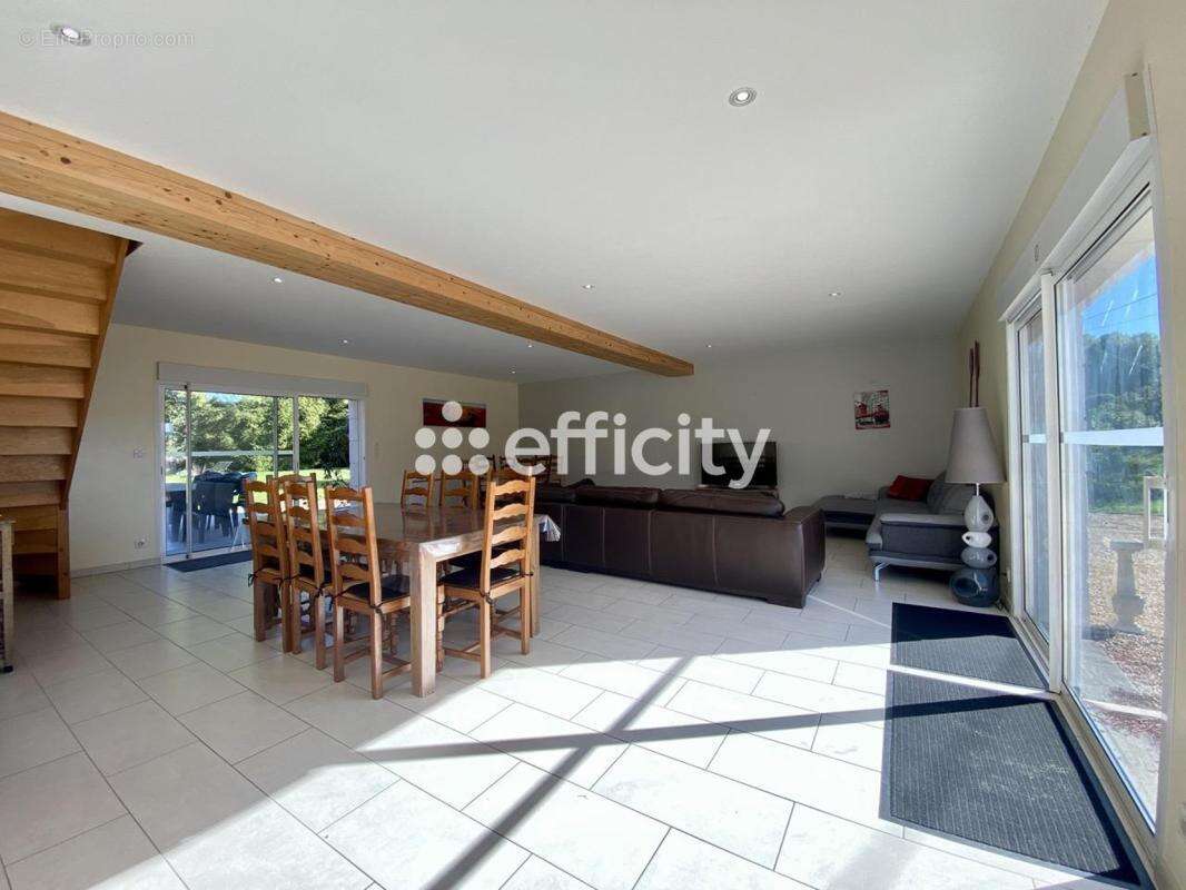 Maison 272 m² à Hommes  - photo 3