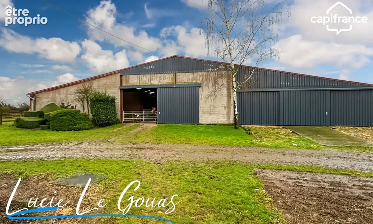 Ferme équestre - photo 22