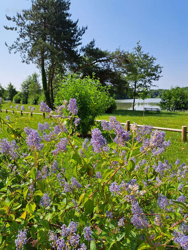 Maison à EGRISELLES-LE-BOCAGE