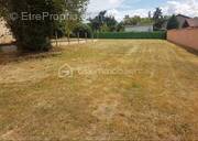 Terrain à SAINT-VINCENT-DE-BOISSET