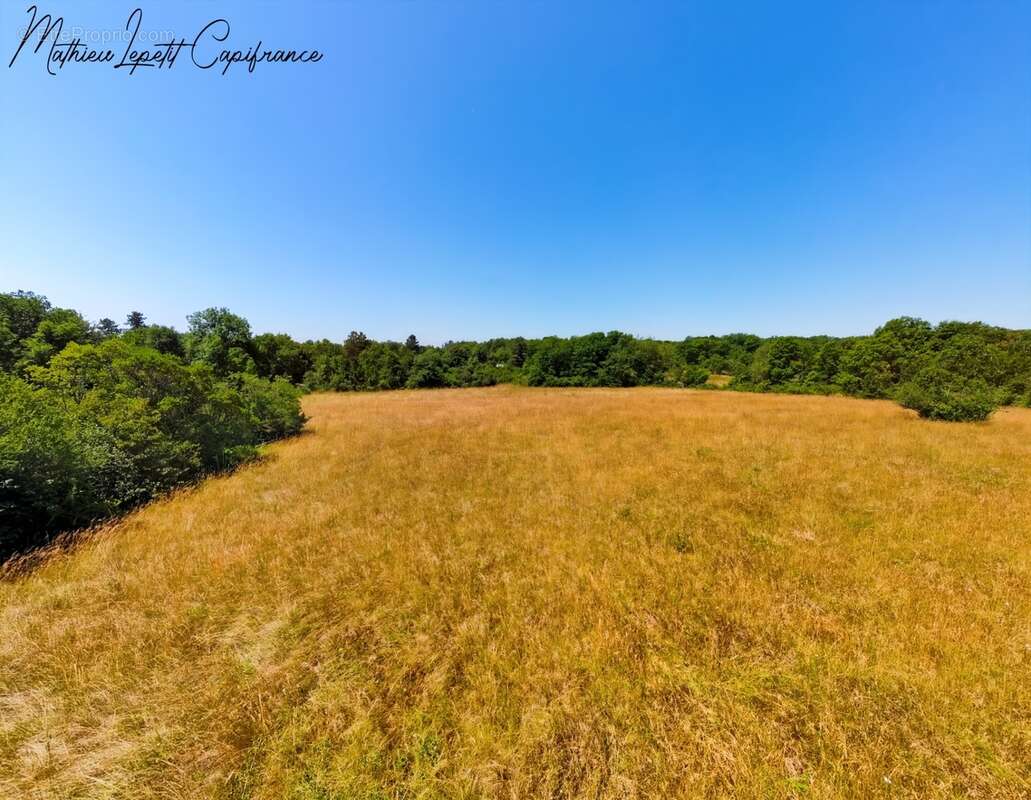 Terrain à vendre de 13 200,00 m² CUBJAC (24) - photo 2