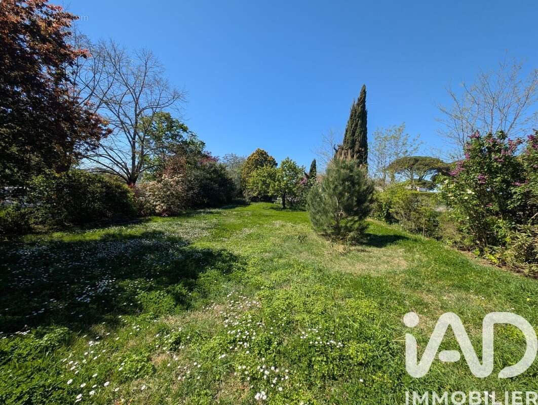 Photo 3 - Maison à TOULOUSE